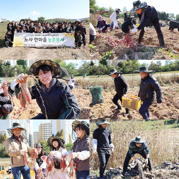 [구리<b>농수산물</b>공사]노사 한마음 농촌 일손돕기 봉사 실시