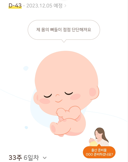  임산부 아내의 고민 자연분만 vs 제왕절개 장단점(남편 의견)