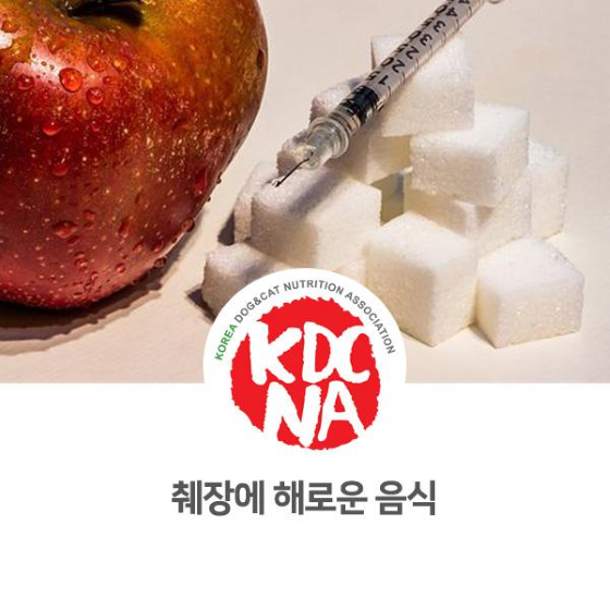  NO. 1099 췌장에 나쁜 음식과 관리