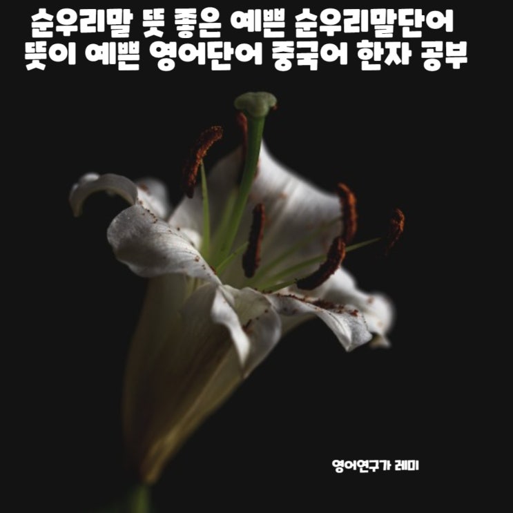 뜻 좋은 예쁜 순우리말단어 뜻이 예쁜 영어단어 영어공부법 영어기초공부 중국어 한자 공부 뜻 좋은 예쁜 순우리말단어 뜻이 예쁜 영어단어 영어공부법 영어기초공부 중국어 한자 공부