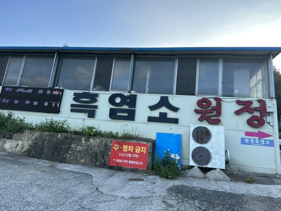 원정흑염소 사진 3