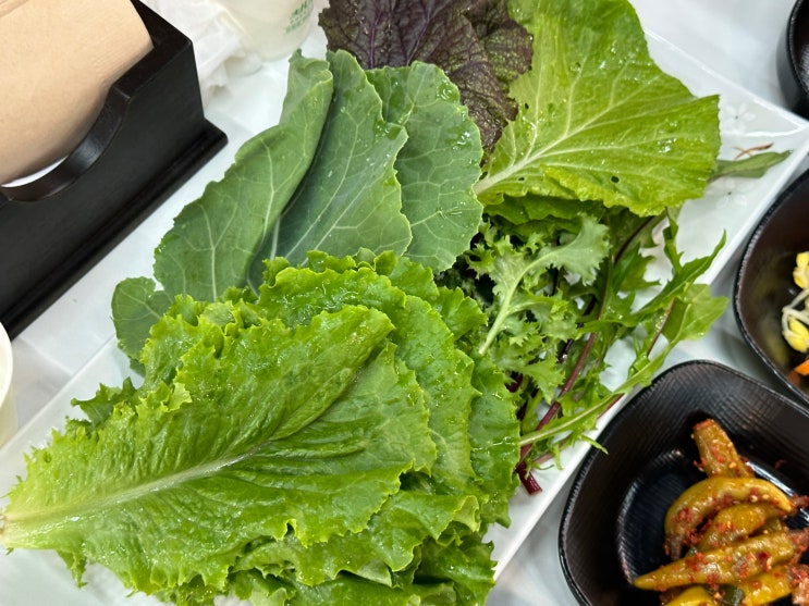  평촌역 쌈밥맛집 채소미담 유기농 쌈채소 무한리필 맛집