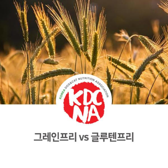  NO. 1098 그레인프리와 글루텐 프리 사료 차이