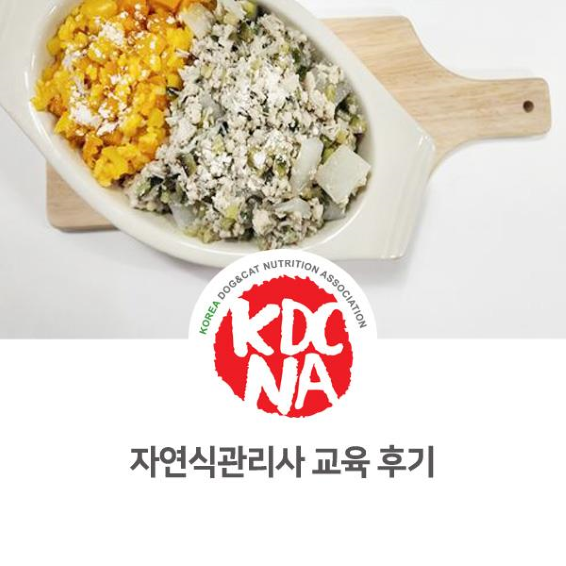  NO. 1096 반려동물 자연식관리사 초급 수업 후기
