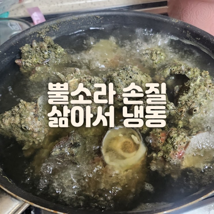  뿔소라 손질 삶기 삶는법 보관법 활용법