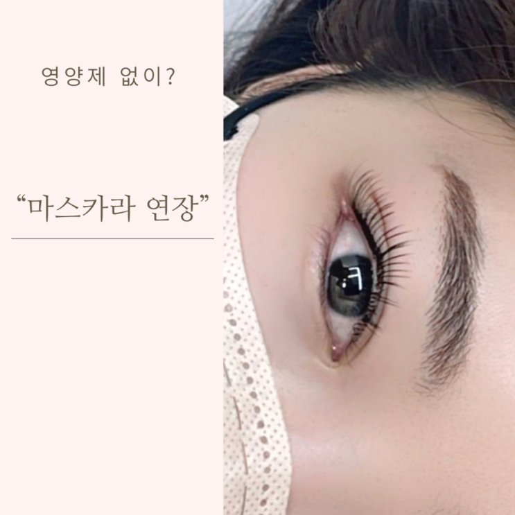  영양제 없이 가능한 마스카라 연장이 있다고?