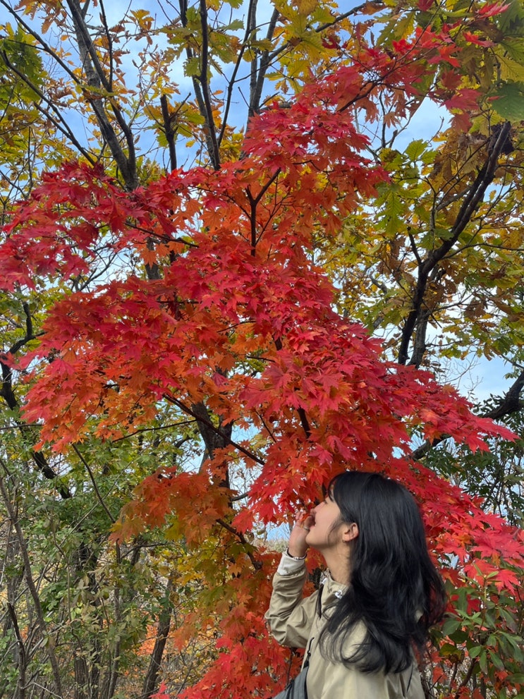 광주 태화산 / 서울 근교 갓성비 등산 코스 / 10월 가을 첫 단풍 나들이