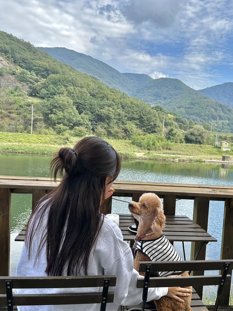  청도) 애견 동반 야외 테라스 브런치 카페 : 원리 73