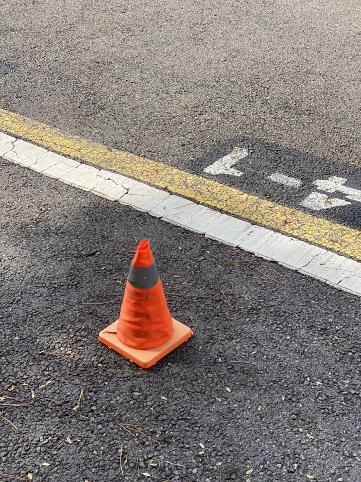 독백 201 / 지난 주말(Feat. 전지적 러너시점)