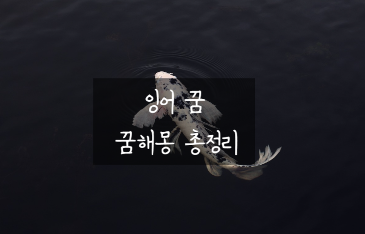  잉어 꿈, 황금 잉어 꿈, 꿈해몽 총정리