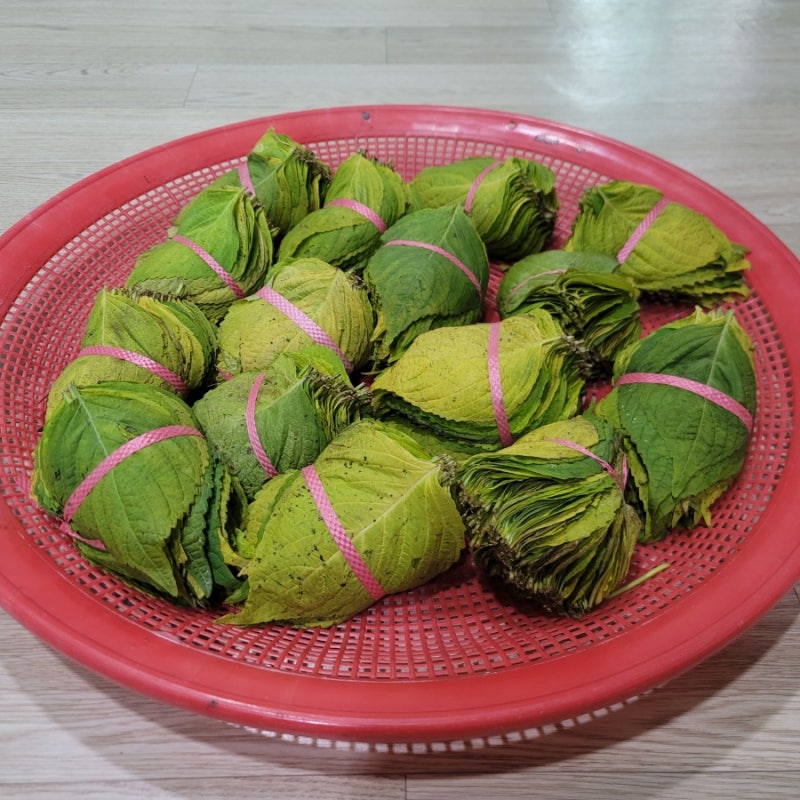 단풍깻잎 소금물에 삭히기 -겨울반찬  단풍깻잎 소금물에 염장질? 하기