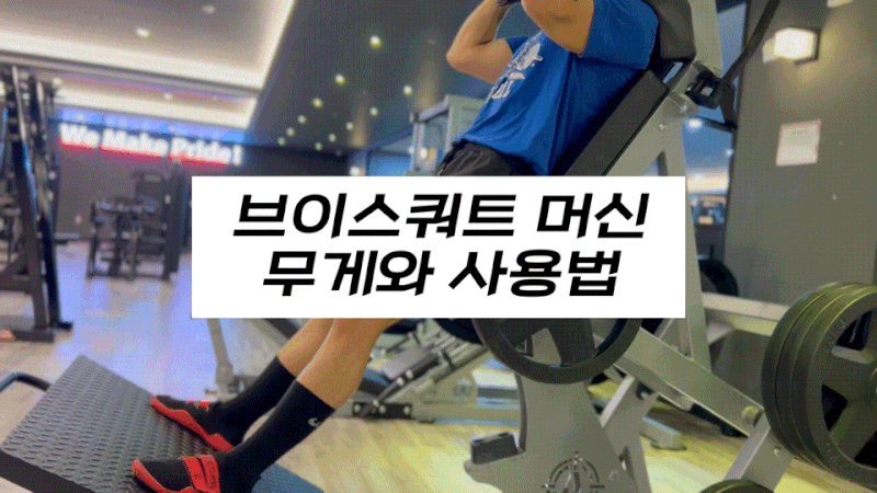 브이스쿼트 머신 무게 자세 사용법 총정리