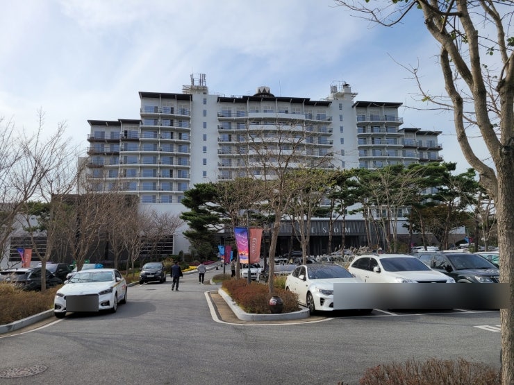  [내돈내산] 아일랜드 리솜 S25 콘도형 (24평형) 기념일 2박 후기
