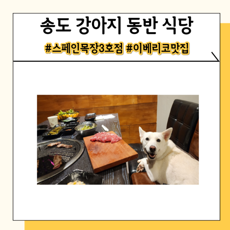 인천 송도 애견 강아지 동반 식당 대형견도 가능해요