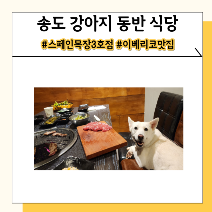 인천 송도 애견 강아지 동반 식당 대형견도 가능해요 인천 송도 애견 강아지 동반 식당 대형견도 가능해요