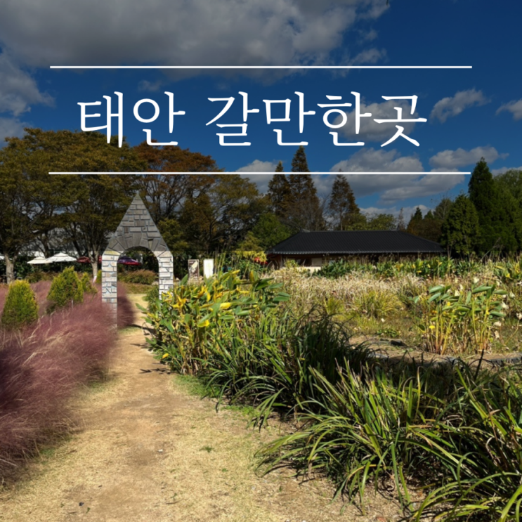  태안 가볼만한곳 청산수목원 애견동반 여행 핑크뮬리와 알파카가 있는 수목원 입장료와 카페