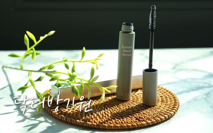 닥터방기원 블랙 속눈썹 영양제 영양케어와 마스카라 효과까지
