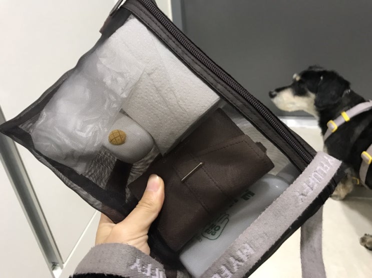  강아지 산책 가방 , 20대 여자의 왓츠 인 마이백