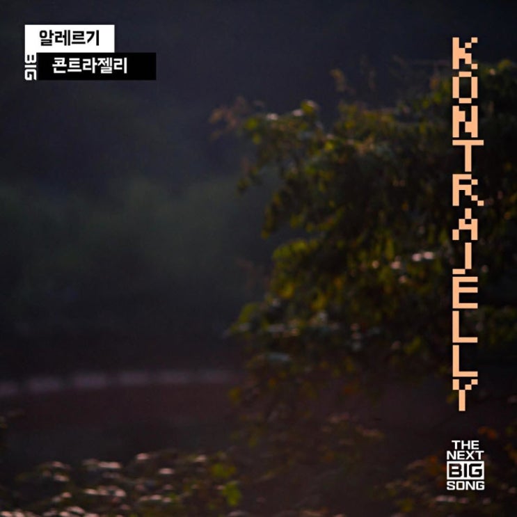 KONTRAJELLY(콘트라젤리) - 알레르기 [노래가사, 노래 듣기, Audio]