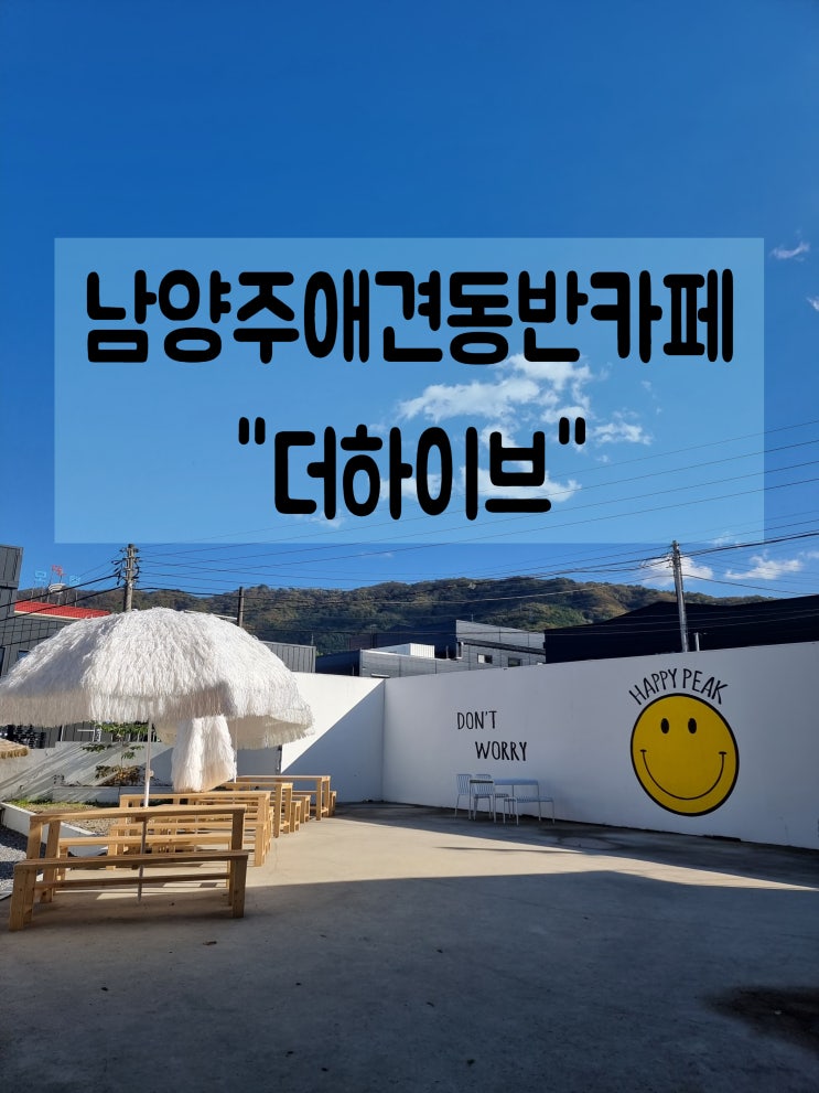  다시찾은 남양주카페 in 더하이브 카페