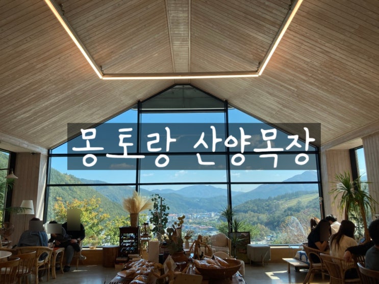한국의 스위스 카페 태백 몽토랑 산양목장