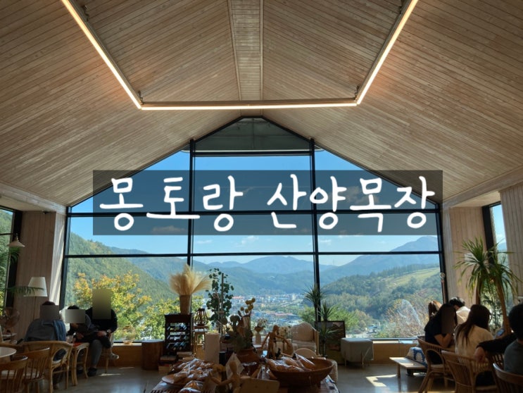  한국의 스위스 카페 태백 몽토랑 산양목장