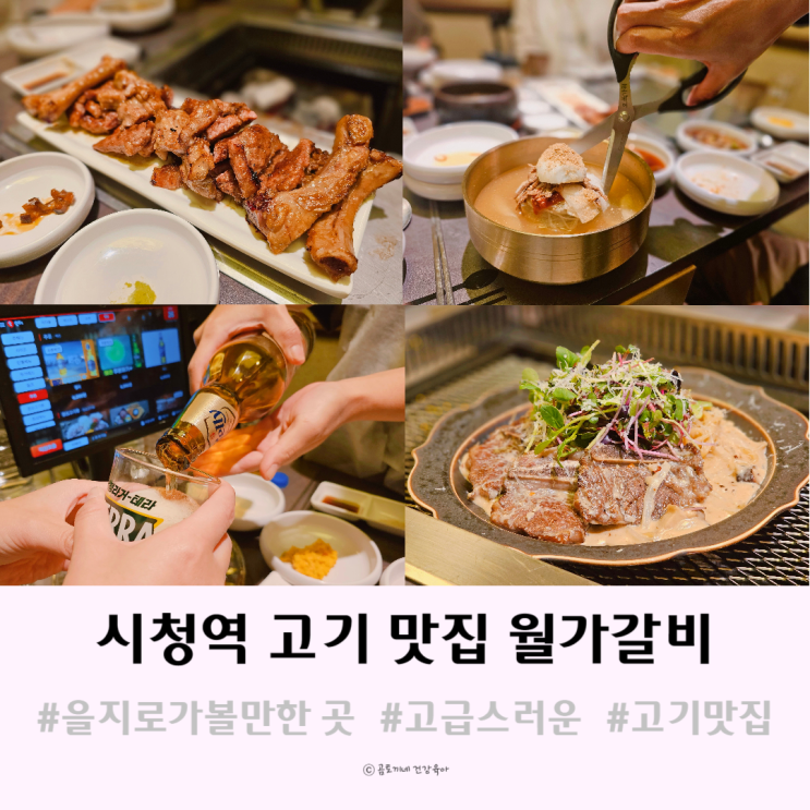 을지로 가볼만한곳 월가갈비 고급스러운 시청역 맛집 을지로 가볼만한곳 월가갈비 고급스러운 시청역 맛집