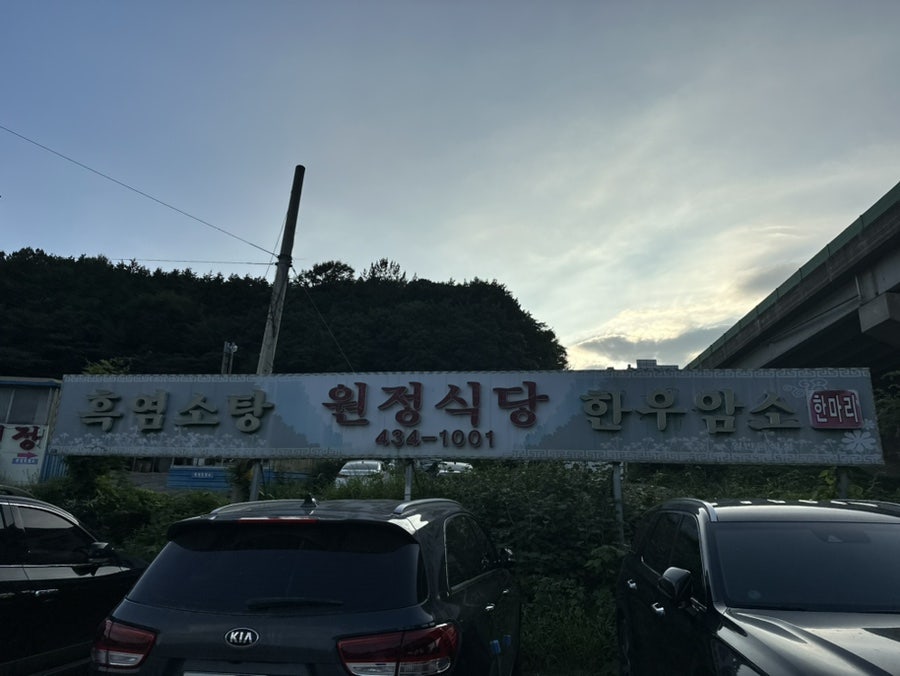 원정흑염소 사진 2