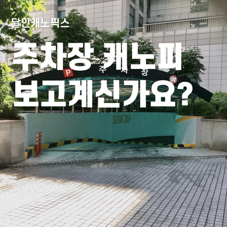  주차장 렉산 캐노피 설치 디자인 살펴보기