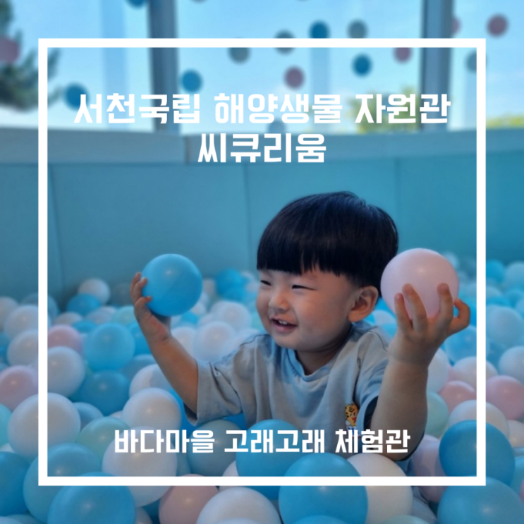  아이와 가볼만한 곳_서천 씨큐리움/국립해양생물자원관/충남서천 해양박물관