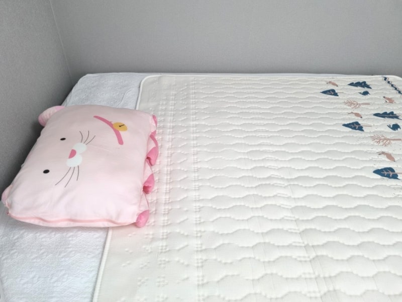 코스트코 홈쇼핑 전기요 장판 이메텍 2주 사용 후기
