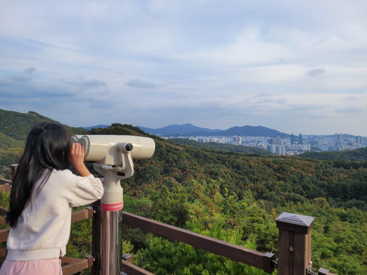  가을철 낙엽단풍구경! 서울대학교 관악수목원 주차 (시범 무료개방 기간 우회등산로)