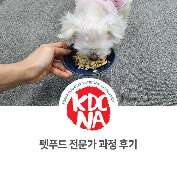  NO. 1095 반려동물영양전문강사 펫푸드 자격증 취득 수업 후기
