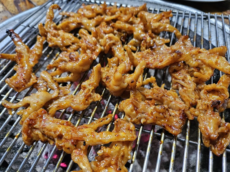 늦은 시간까지 술 마시기 좋은 "로당 연동점" 간단 후기 제주 공항 근처 닭발 맛집 추천