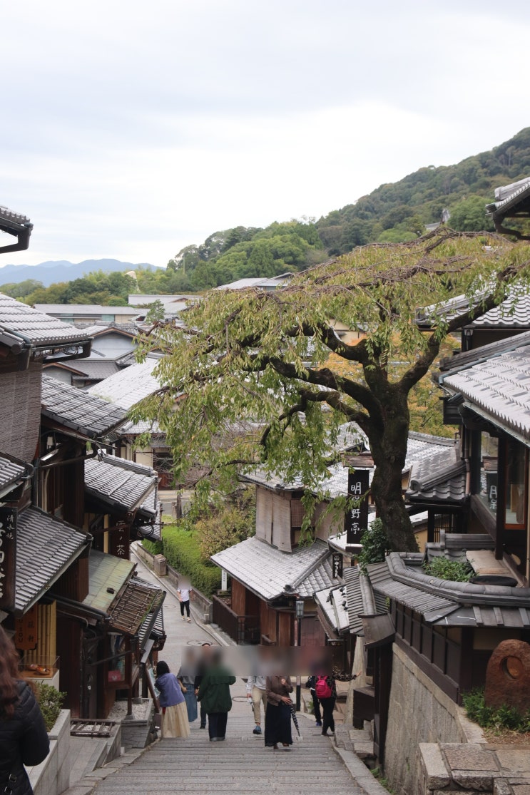 일본 정취를 느낄 수 있는 교토 여행지 / 산넨자카 니넨자카 사람 없는 시간은?