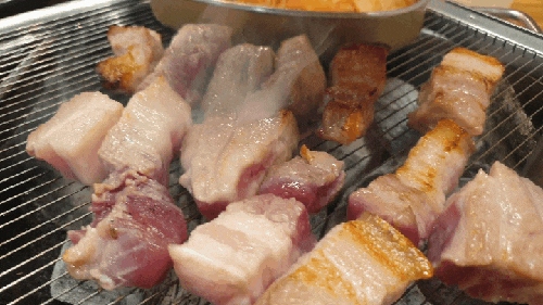  고기 10인분 먹은 목동역 고기집 제주 오겹살 삼겹살 맛집 정진식당