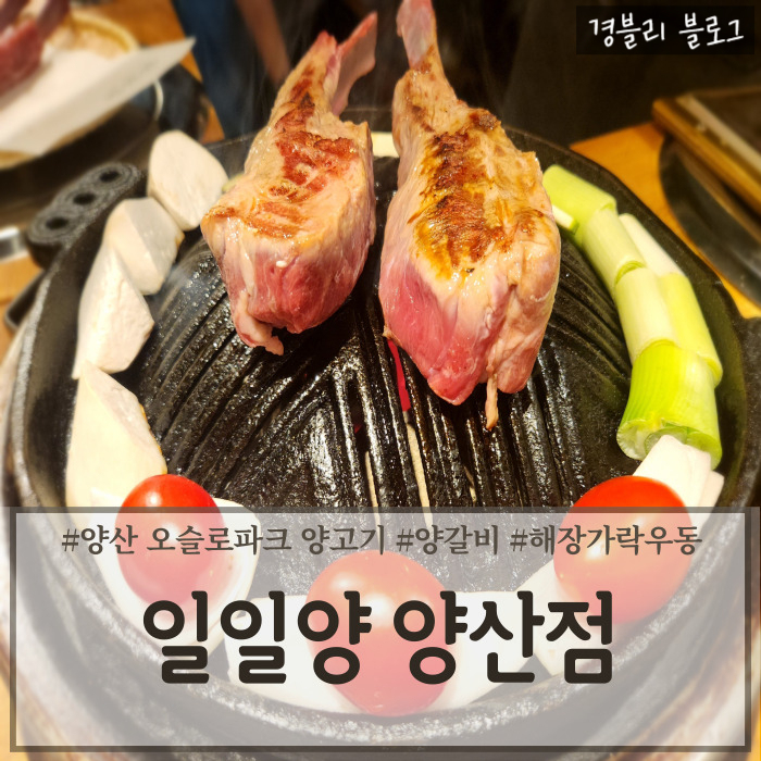 양산 범어 맛집 징기스칸 화로구이 양갈비 맛집 '일일양 양산점'