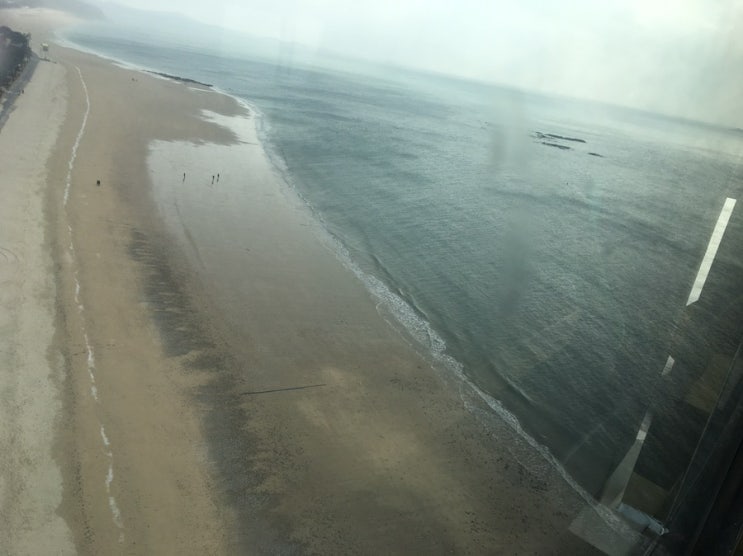  충남 대천 여행 18년도 겨울의 어느 날