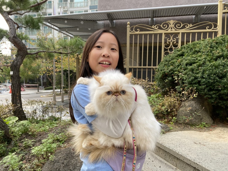  어린 집사와 고양이