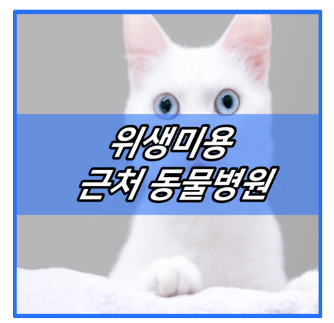펫바스로 동탄본점