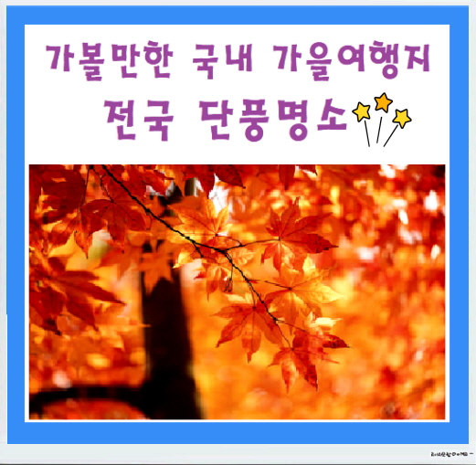  가을 단풍 여행지로 가볼만한곳(feat.전국 가을 단풍명소 추천)