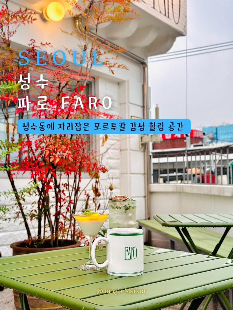  성수 신상 카페 파로 : 포르투갈 휴양지 컨셉 애견동반