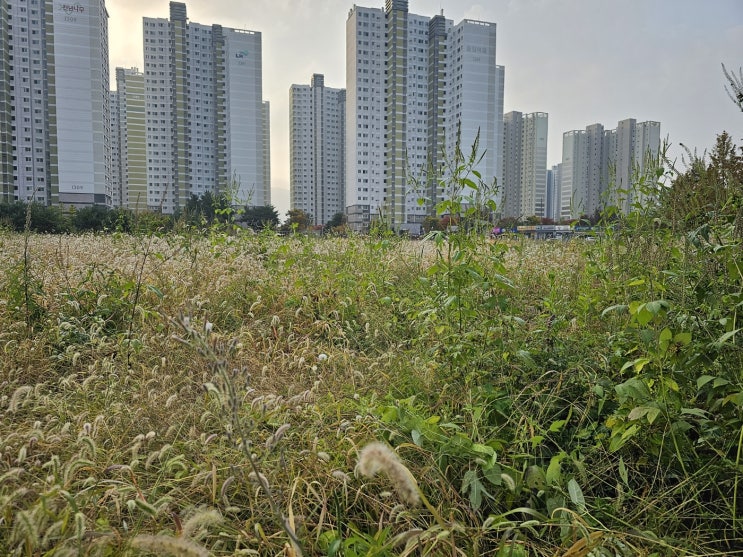  자전거 고장수리 재차 요청, 기술인협회등록,아내는 대상포진 예방주사