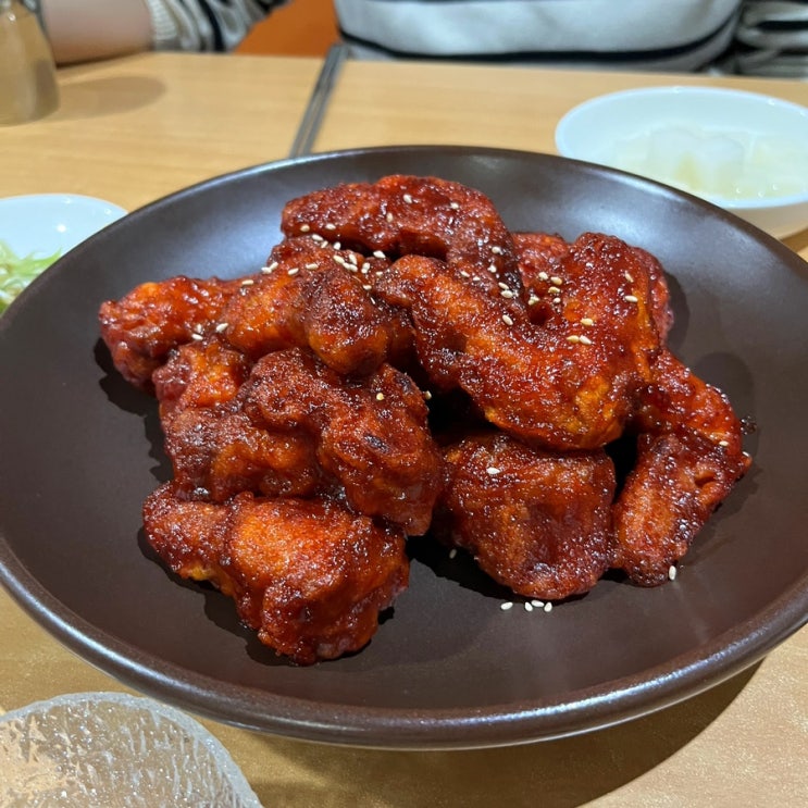  경남고성맛집  비촌치킨 비촌숯불바베큐 얼큰이 내돈내산 솔직후기