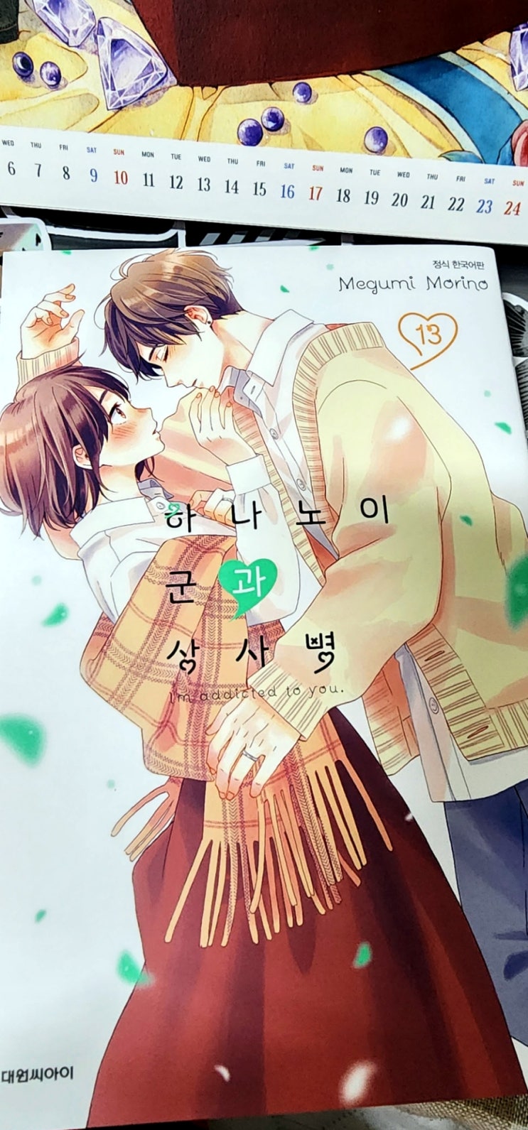  애니 추천-하나노이군과 상사병 13권