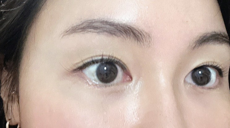  평택 용이동속눈썹펌 로지브로우 바짝 올라간 인형속눈썹,!!