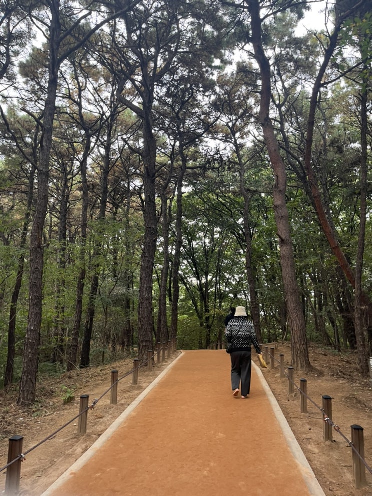  <광교호수공원>맨발걷기 건강에 좋은 황톳길