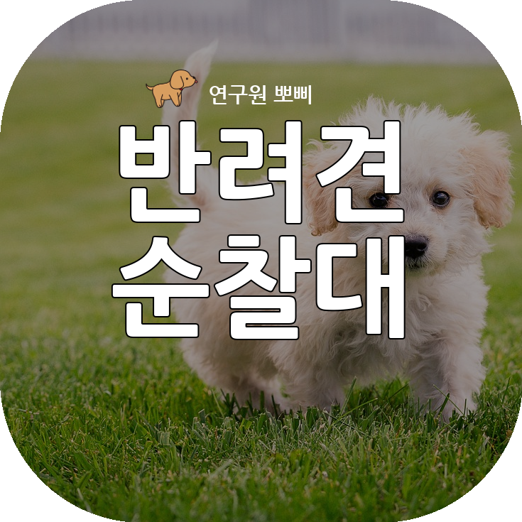  반려견 순찰대, 하는일과 지역, 신청 및 심사 기준 총정리!