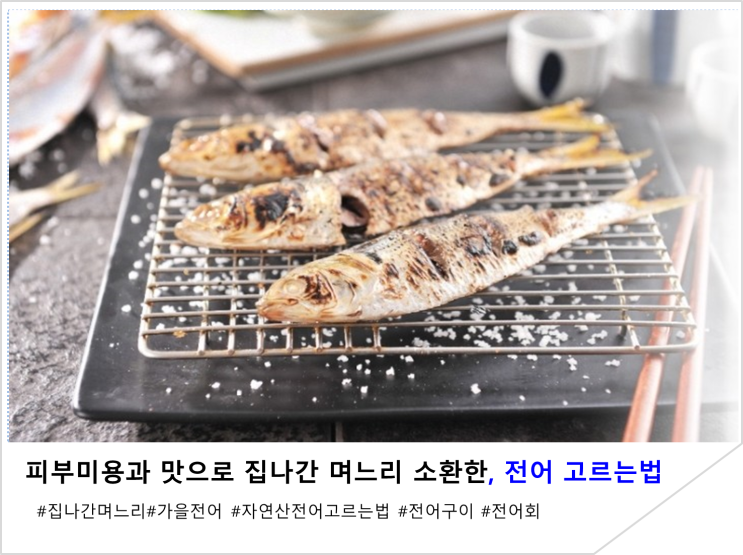  피부미용과 맛으로 집 나간 며느리 소환한, 자연산 전어 고르는 법과 맛있게 먹는 법