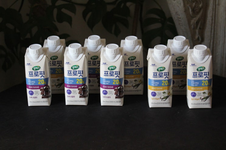 프로틴 음료 셀렉스 프로핏 우유 단백질 모카초코 밀크바닐라 시음기